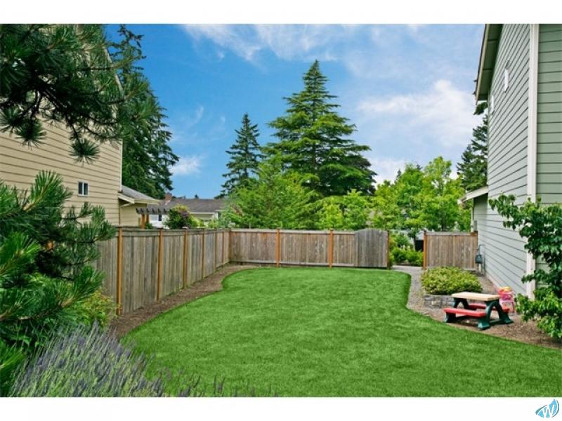 Backyard.jpg